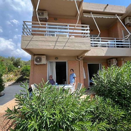 Galini Studios And Apartments لاسي المظهر الخارجي الصورة
