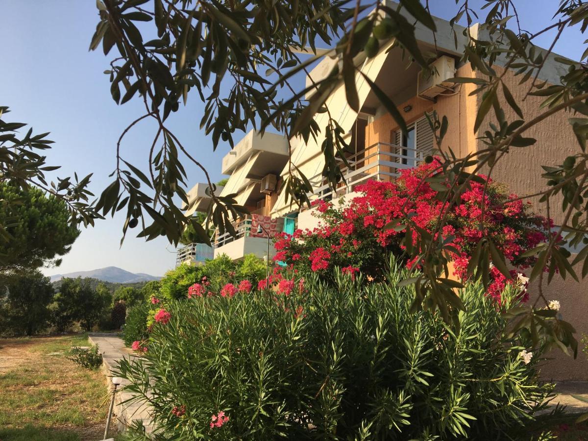 Galini Studios And Apartments لاسي المظهر الخارجي الصورة