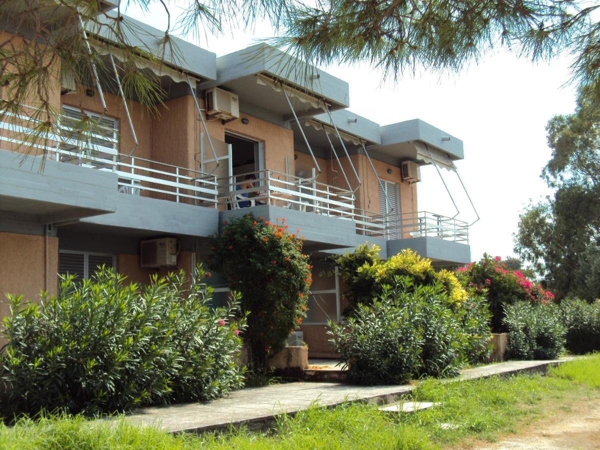 Galini Studios And Apartments لاسي المظهر الخارجي الصورة