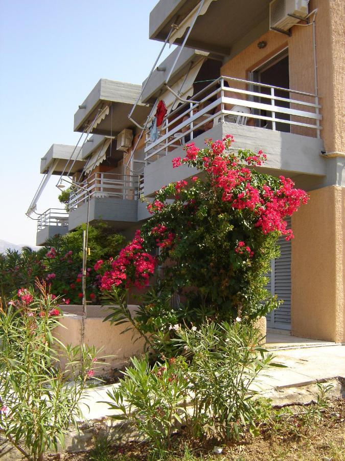 Galini Studios And Apartments لاسي المظهر الخارجي الصورة
